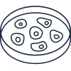 Cell States