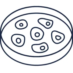 Cell States